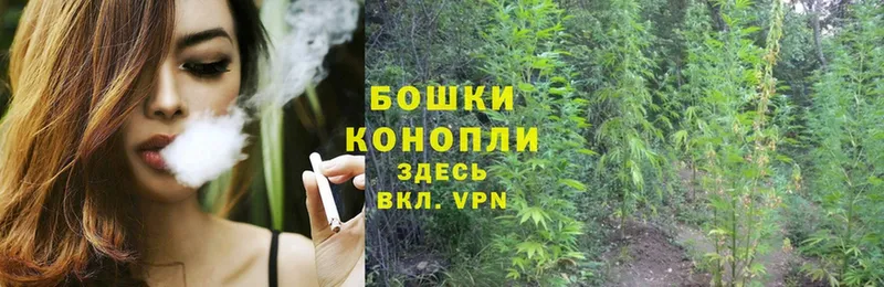 где купить наркотик  Алагир  Конопля White Widow 